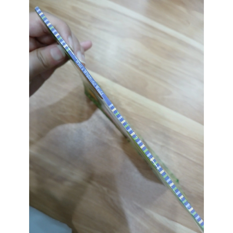 What a Wonderful World - N/A 543129