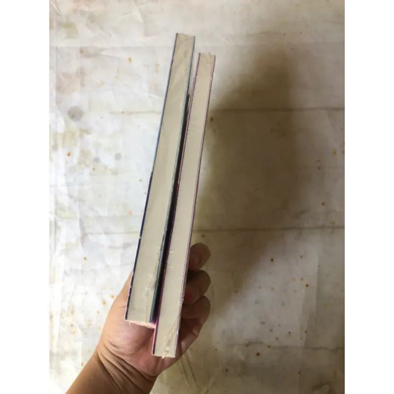 Combo 2 Cuốn: Những Tâm Thư Gửi Chính Mình + Những Lá Thư Du Hành Thời Gian 974378