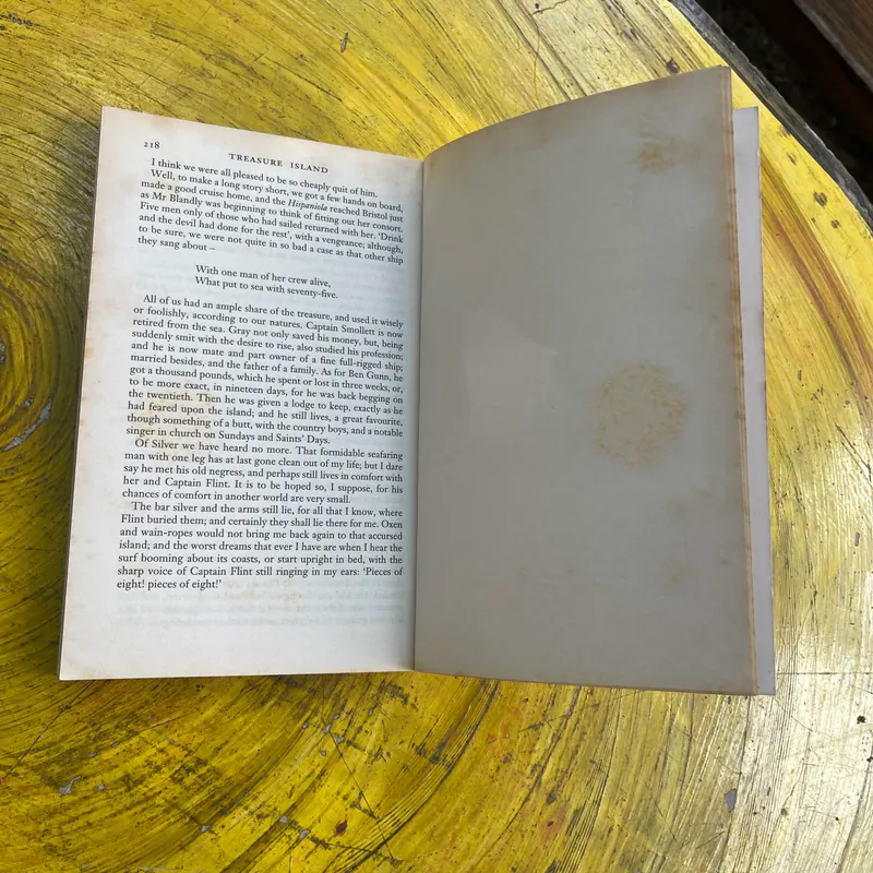 TREASURE ISLAND- ROBERT LOUIS STEVENSON 561835