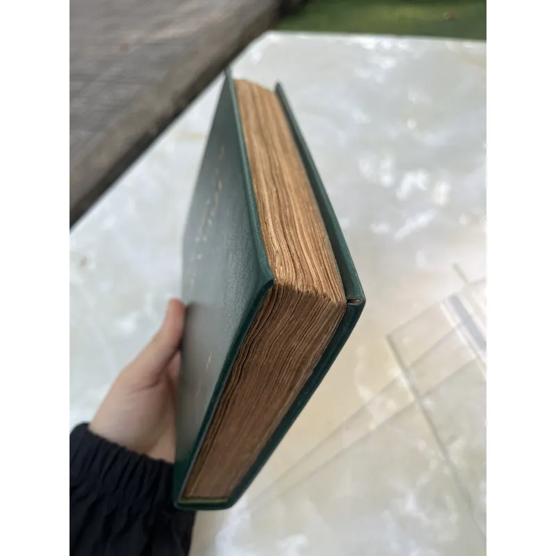 TÔI NHÌN TÔI TRÊN VÁCH - TUÝ HỒNG 760355