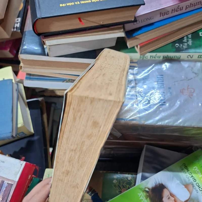 Bát phố của Nguyễn Bảo sinh 936334