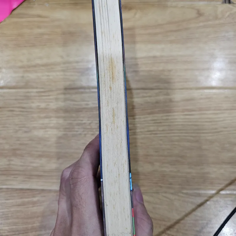 Cầu vòng trong đêm cho những trái tim đang sống 1
 683051