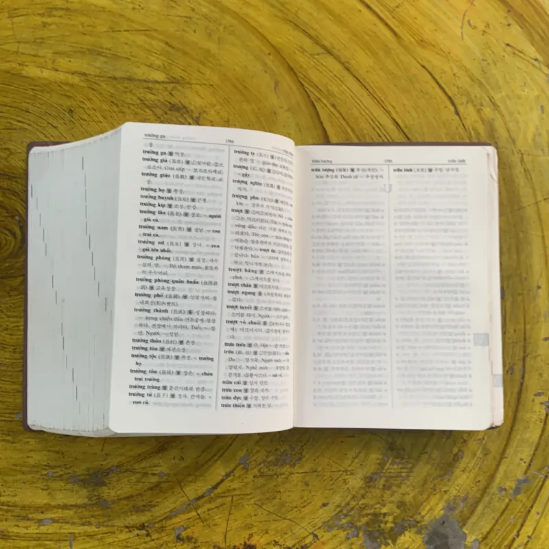 TỪ ĐIỂN VIỆT - HÀN bìa da  1002948