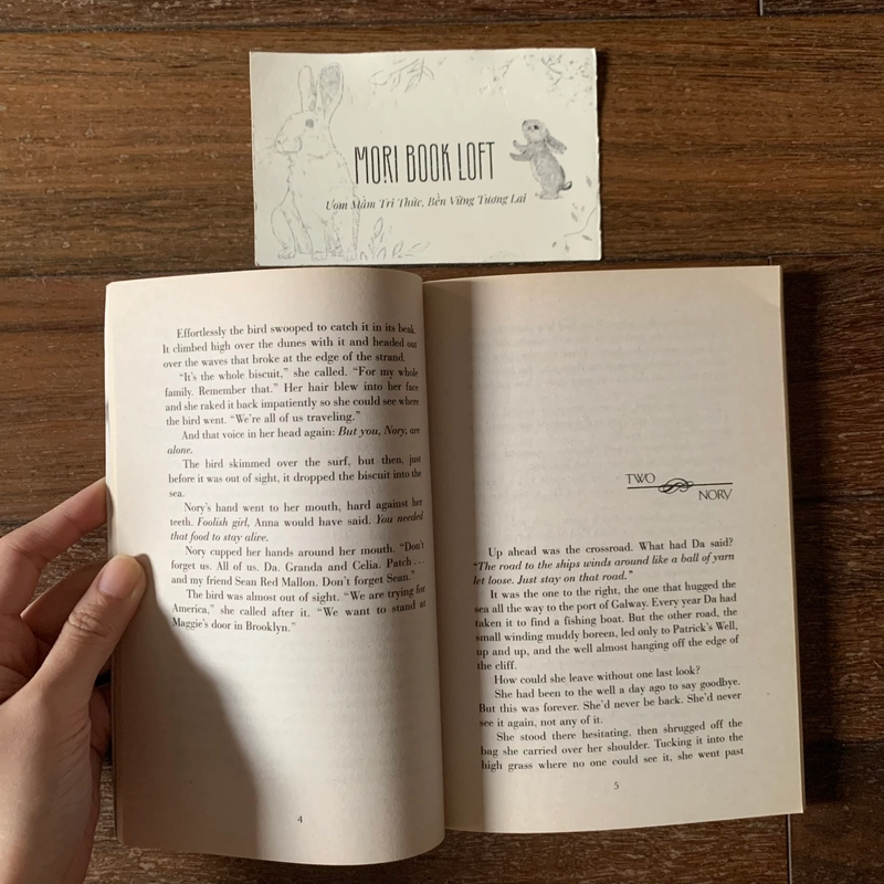 Sách ngoại văn Maggie's Door, Used, trình độ B1 538198