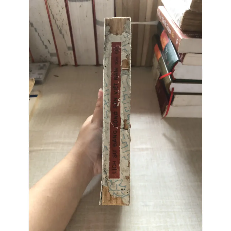 Lịch sử Đảng Cộng Sản Việt Nam 992400