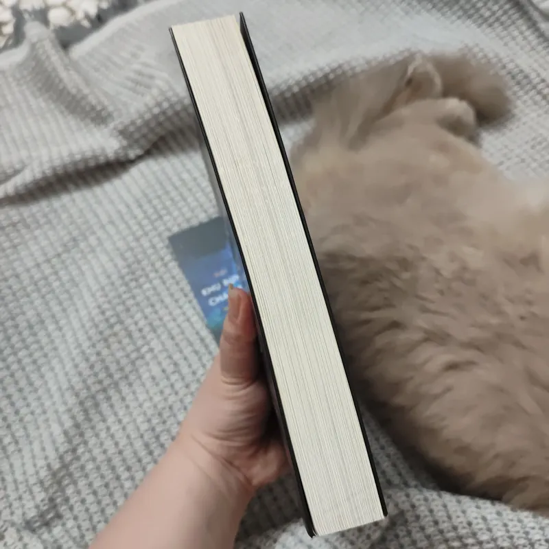 Nơi khu rừng chạm tới những vì sao 736303