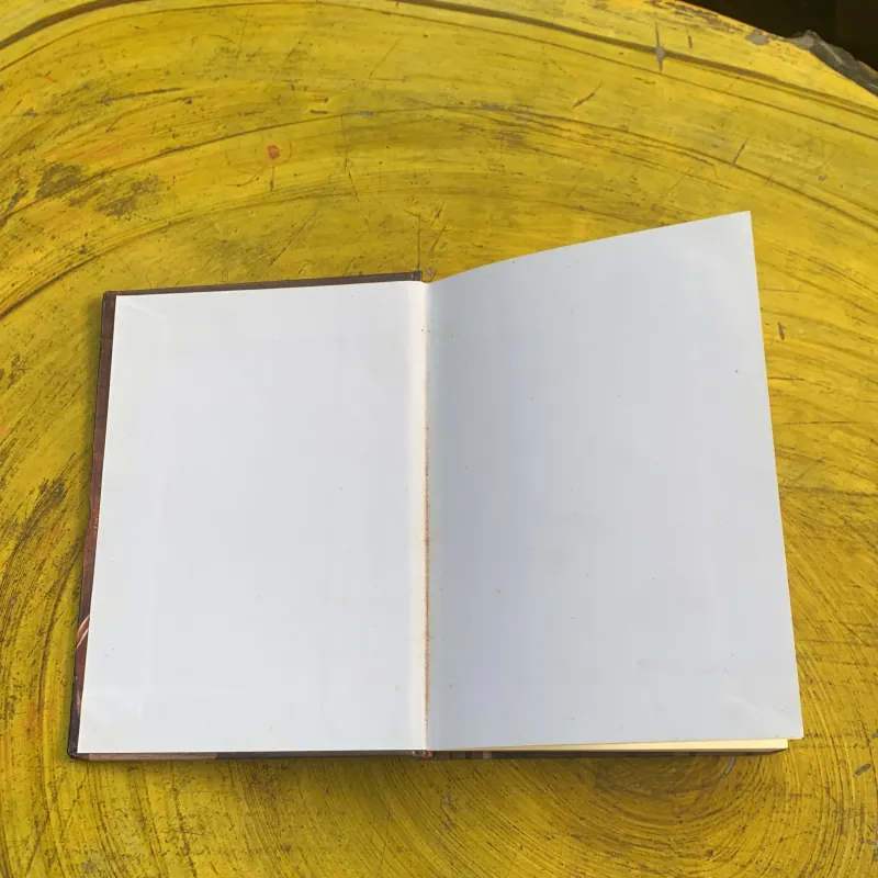 THẰNG GÙ NHÀ THỜ ĐỨC BÀ- VICTOR HUYGO 782474