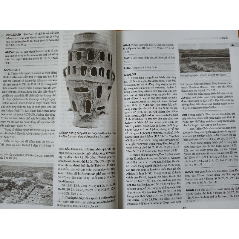 Từ điển Kinh thánh - Xb 2013 - 1137 trang - Bìa cứng - Kt 16 x 22 - TÂM LINH - TÔN GIÁO - THIỀN - ANTQ2911-83 923577