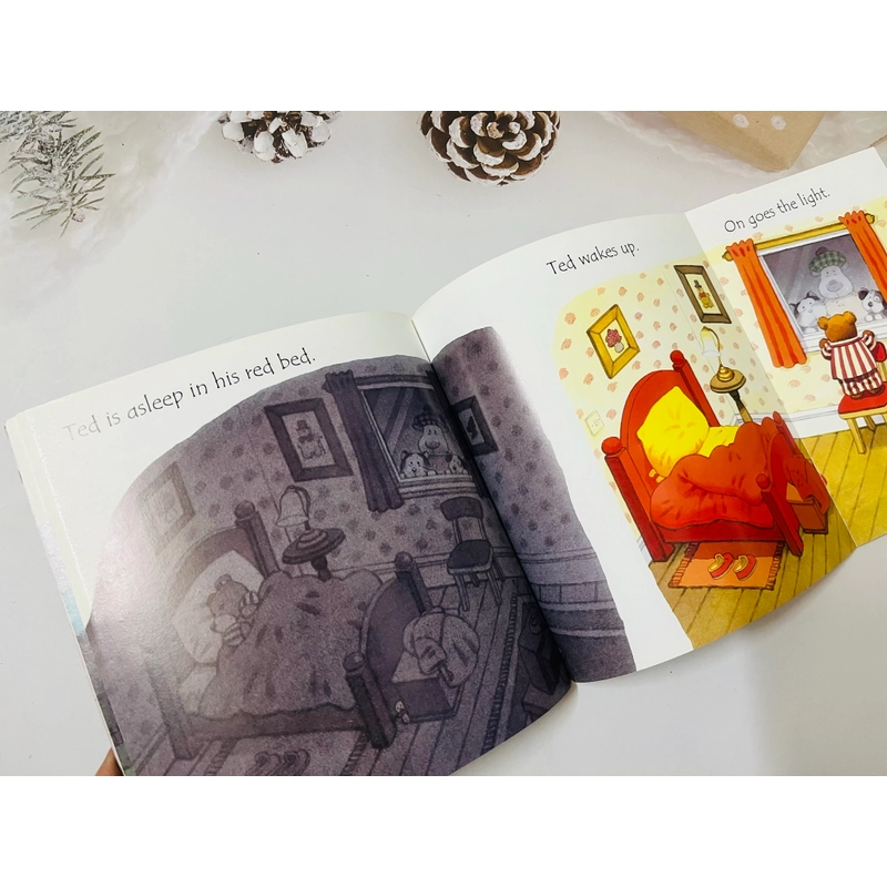 Usborne Phonic reader bộ cơ bản có trang lật mở 546054
