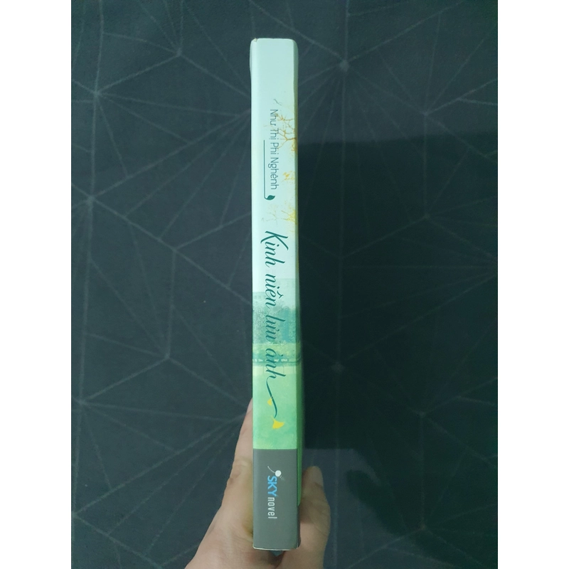 "Kinh niên lưu ảnh" - Như Thị Phi Nghênh 470406
