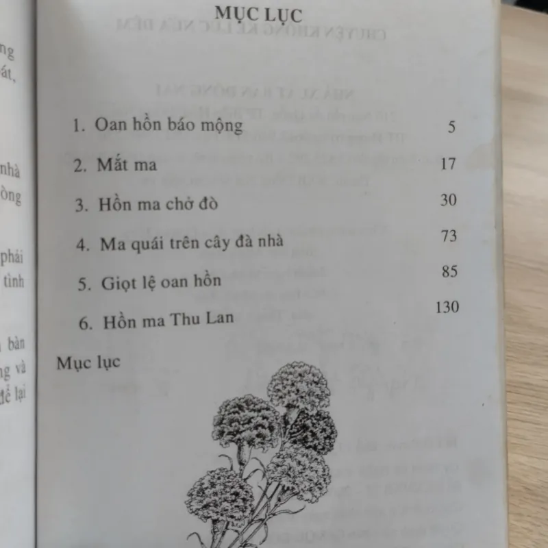 cuốn tiểu thuyết kinh dị Việt Nam. 
Tên sách: Oan Hồn Báo Mộng.
Tác giả: Hắc Y Nhân.
 1032102