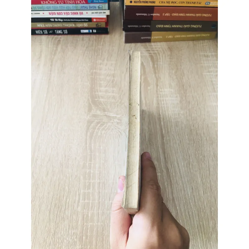 TÌNH TỰ DÂN TỘC THEO CHIỀU DÀI ĐẤT NƯỚC ( Phạm Côn Sơn) 1020463