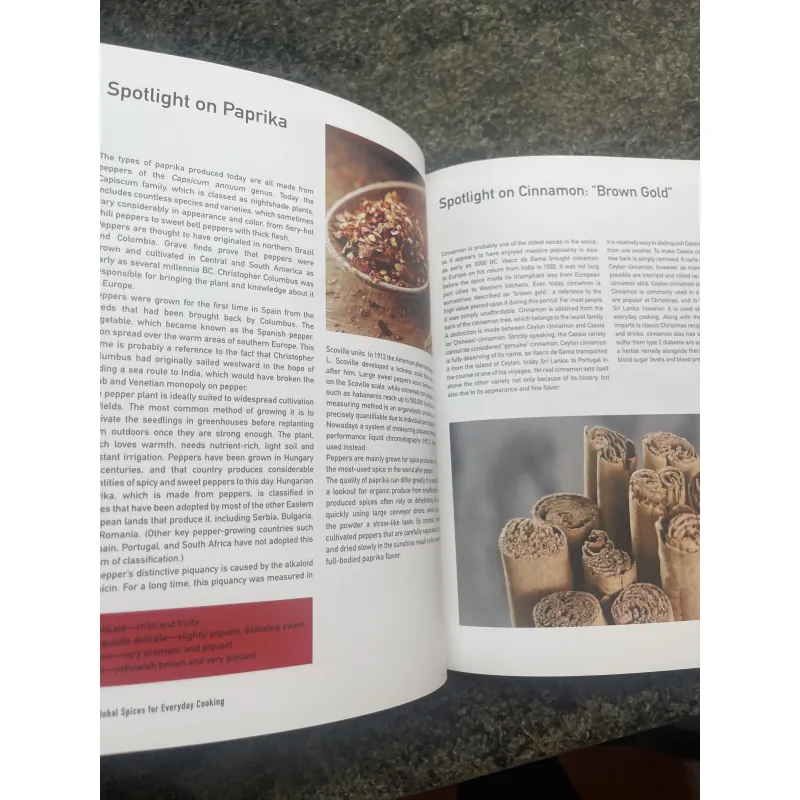 Global spicies for everyday cooking Sarah Golbaz & Hellmut Wagner 755613