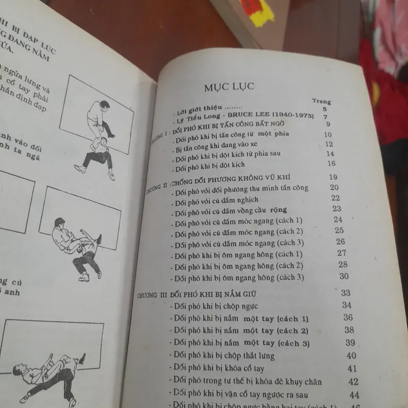 Kỹ thuật tự vệ, PHƯƠNG PHÁP CHIẾN ĐẤU CỦA LÝ TIỂU LONG 699345