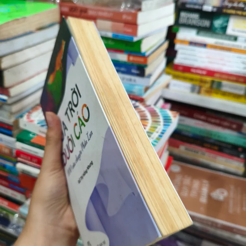 Lửa trời dưới cáo 🌱 641685