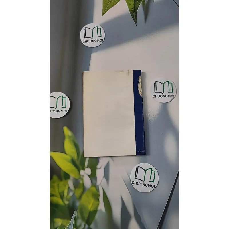 Bói Kiều - Phạm Đan Quế 798313