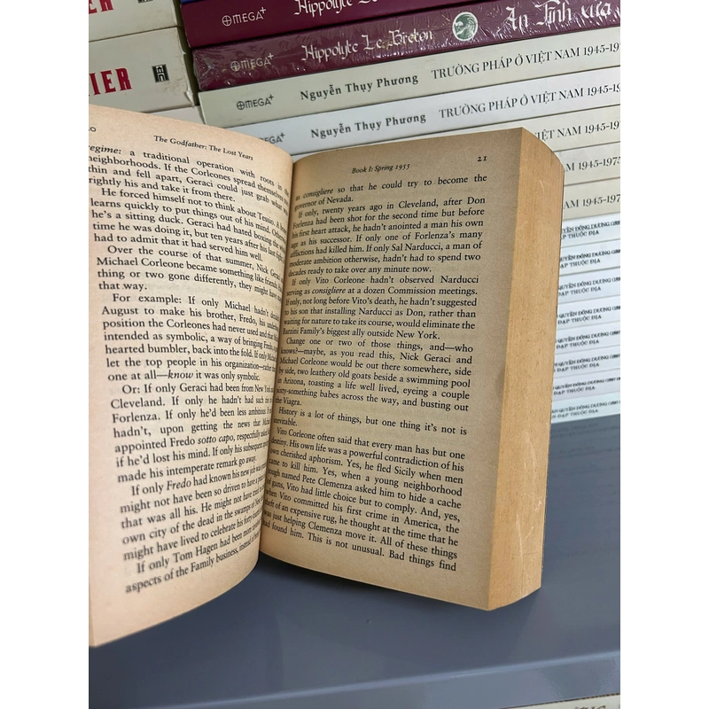 Sách ngoại văn - The Godfather: The Lost Years | Mario Puzo's 401362