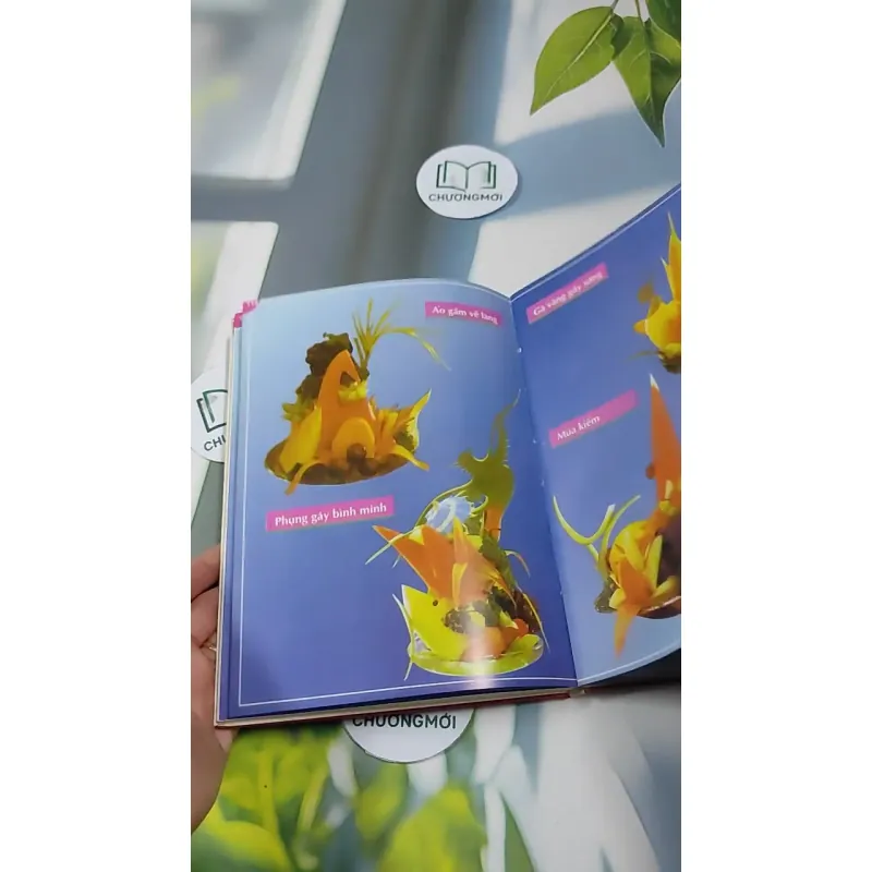 Nghệ Thuật Trang Trí Rau Củ Quả - Quỳnh Hương 727306