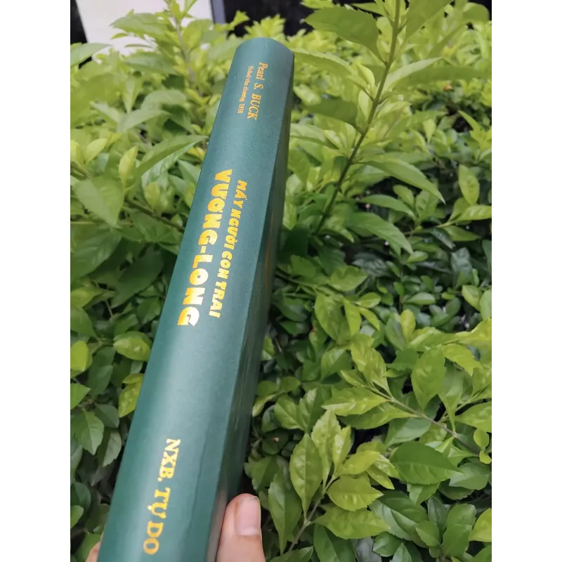 Mấy người con trai Vương Ling của Pearl Puck 970860