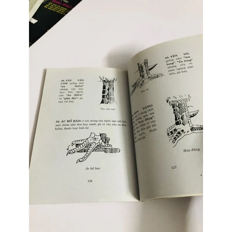 BÍ QUYẾT CHỌN & NUÔI GÀ NÒI - GÀ ĐÁ 726840