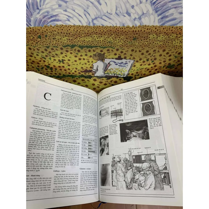 Từ Điển Bách Khoa Y Học Anh - Việt, A-Z - Ngô Gia Hy chủ biên 715854