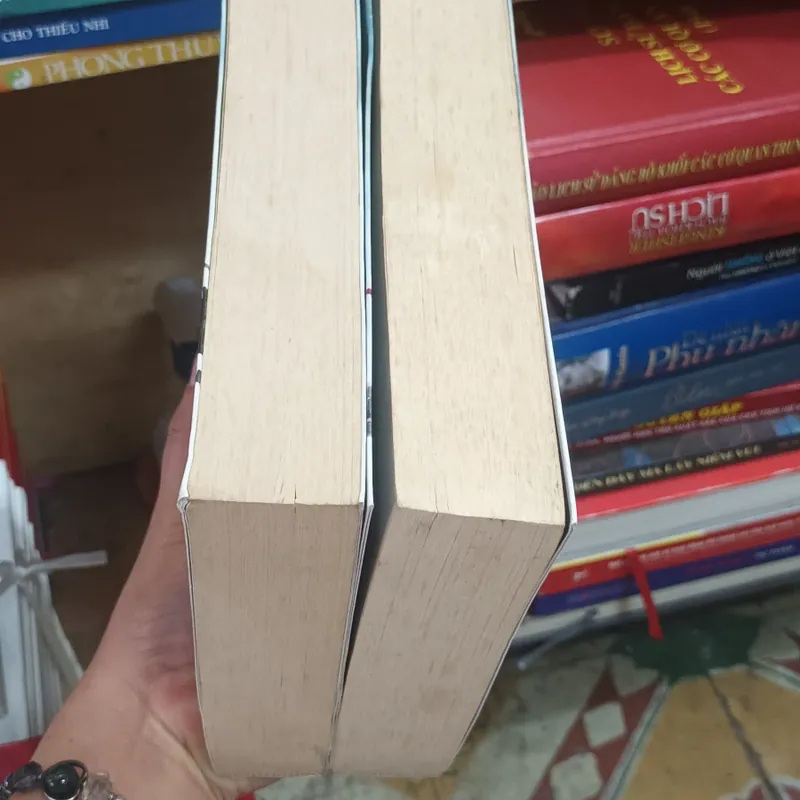 Đế Hoàng Phi trọn bộ 2 tập- Hoại Phi Vãn Vãn 576032