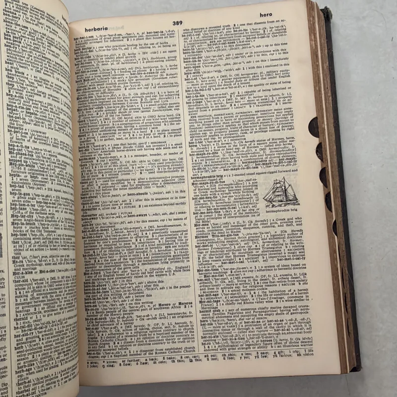 1965 Webster's Seventh New Collegiate Dictionary Hardback 1022475