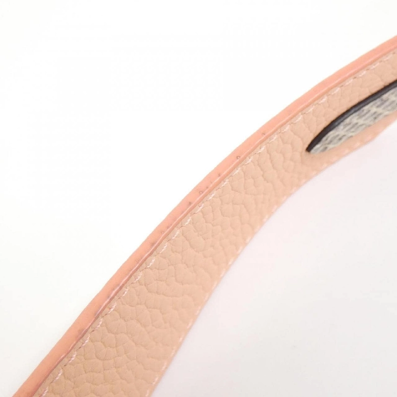 Túi xách Louis Vuitton Exotic Leather Capucines MINI M55921 617987