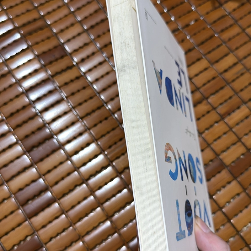 Vượt sóng - Linda Lê 501574