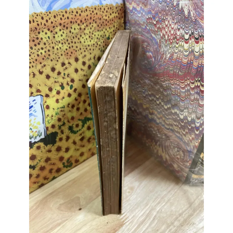 Từ Điển Thuật Ngữ Văn Học 958162