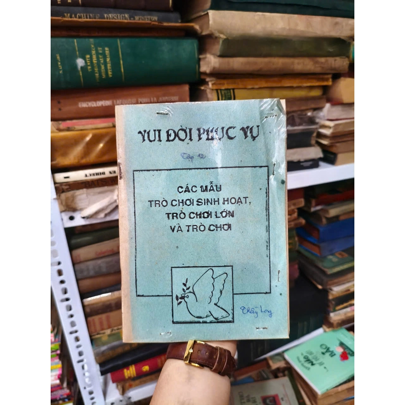 Vui Đời Phục Vụ - Các mẫu trò chơi sinh hoạt, trò chơi lớn và trò chơi 451690