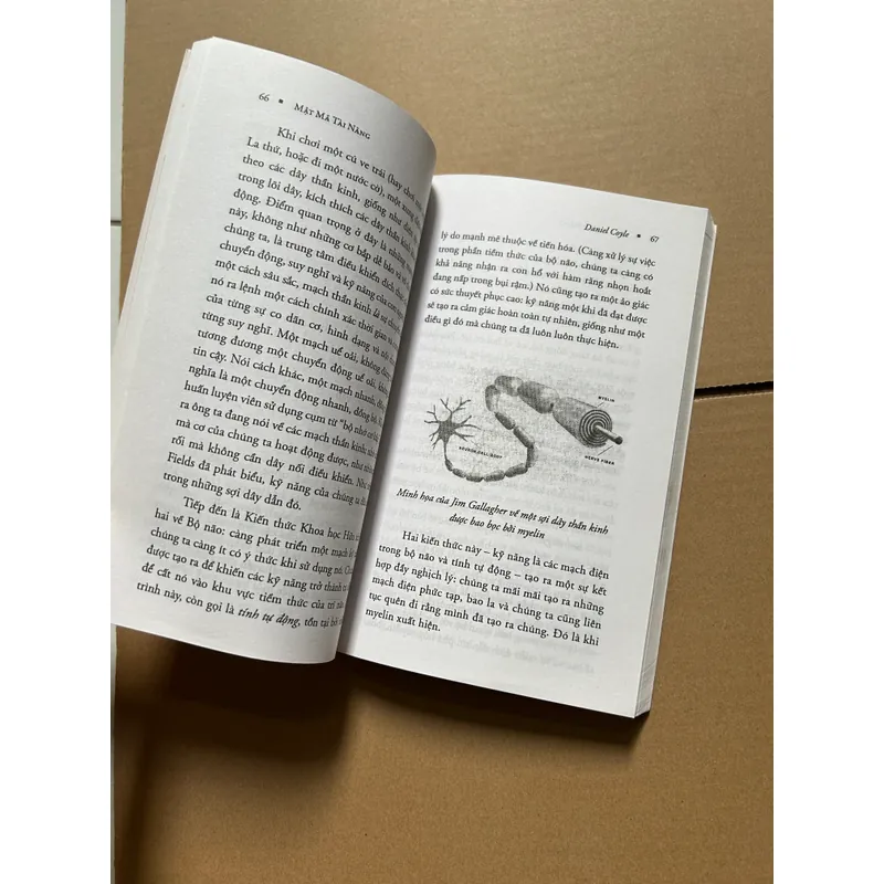 Mật mã tài năng - Daniel Coyle 736141