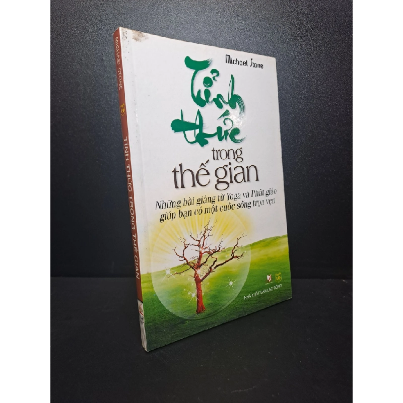 [59K/kg] Tỉnh thức trong thế gian 2013 Michael Stone mới 90% HCM0310 364813
