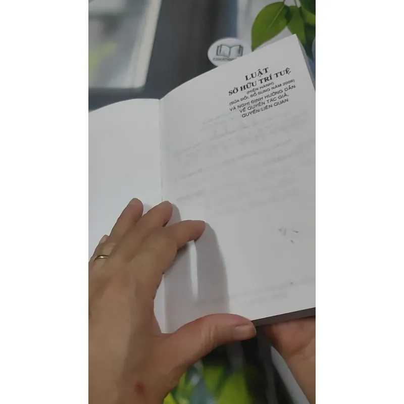 Luật Sở Hữu Trí Tuệ Và Nghị Định Hướng Dẫn Về Quyền Tác Giả, Quyền Liên Quan 727366