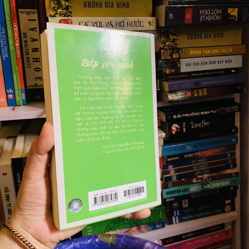 Búp sen xanh - Sơn Tùng   454613