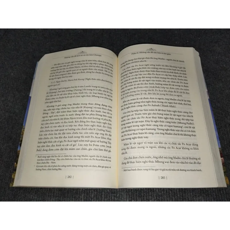 NHỮNG VẤN ĐỀ LỊCH SỬ VÀ VĂN HOÁ CHAMPA 992274