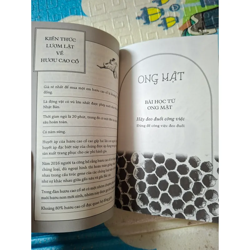 Muông Thú Dạy Ta Bài Học Cuộc Sống 797298