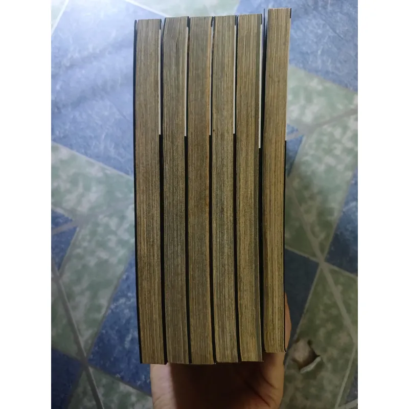 Truyện tranh Mê động long lĩnh ( 6 tập) - Thiên Hạ Bá Xướng & Lâm Danh 932117