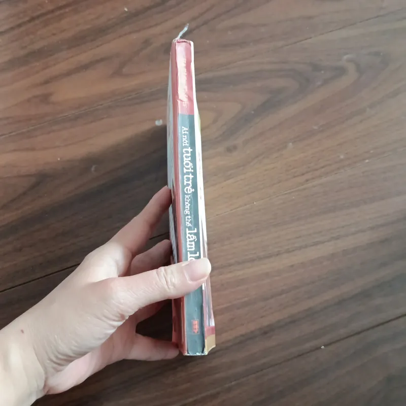 Ai nói tuổi trẻ không thể lầm lỡ 761437