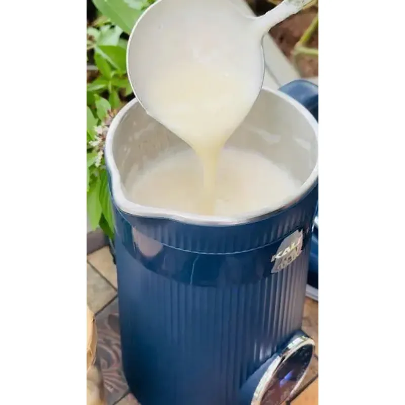 Máy làm sữa hạt mini Kalite KCB12B – Lưỡi dao inox bền bỉ 723267