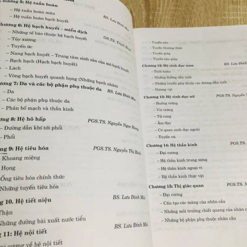 MÔ - PHỔI PHẦN MÔ  1013038