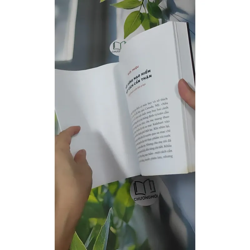 Sống Mạo Hiểm Một Cách Cẩn Thận - Maye Musk 961176