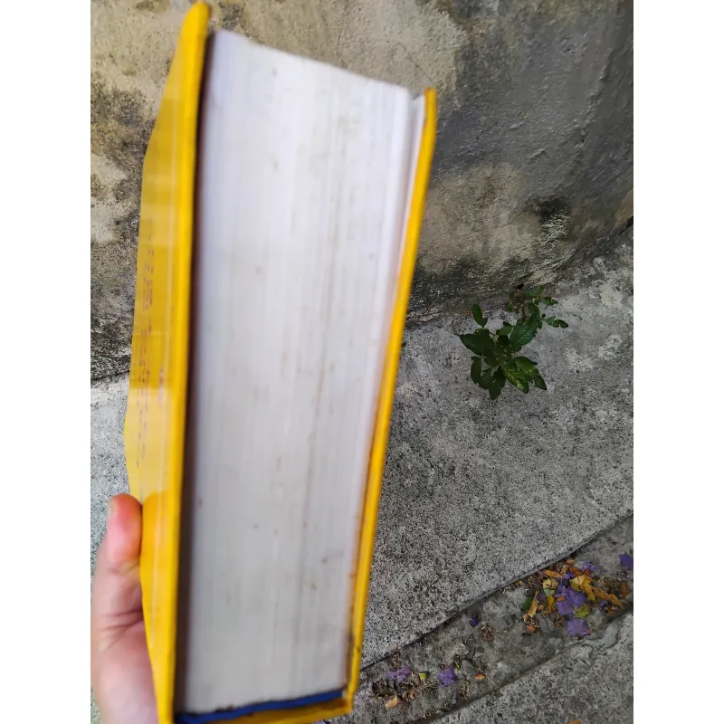 Việt sử cương mục tiết yếu của Đặng Xuân Bảng  1026057