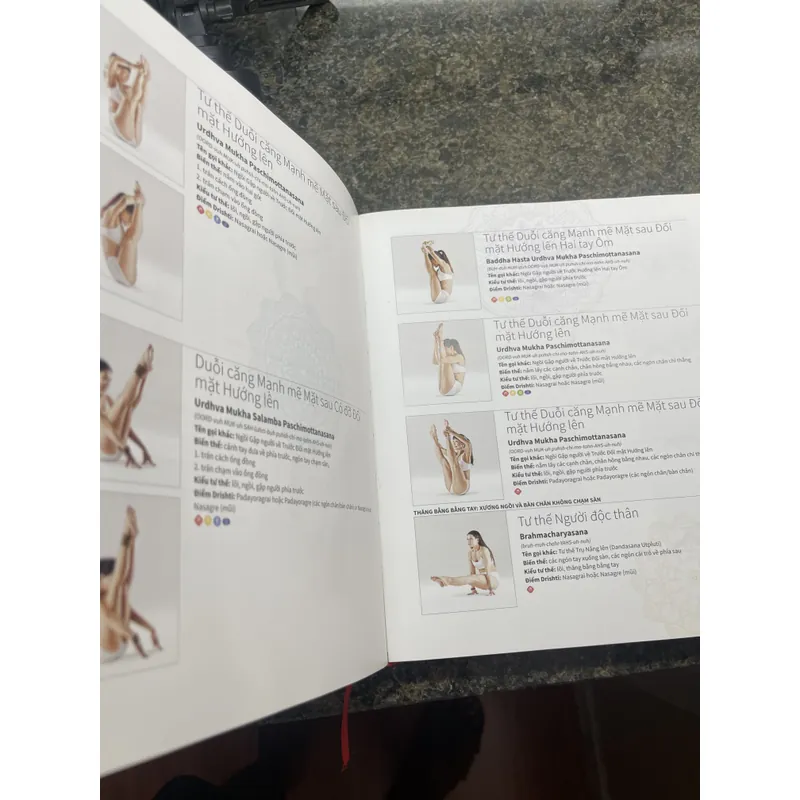 2100 asana Cảm nang tư thế Yoga 730784