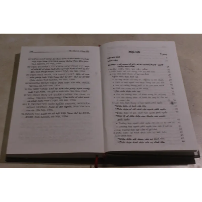 Hôn nhân và gia đình trong pháp luật triều Nguyễn 973725