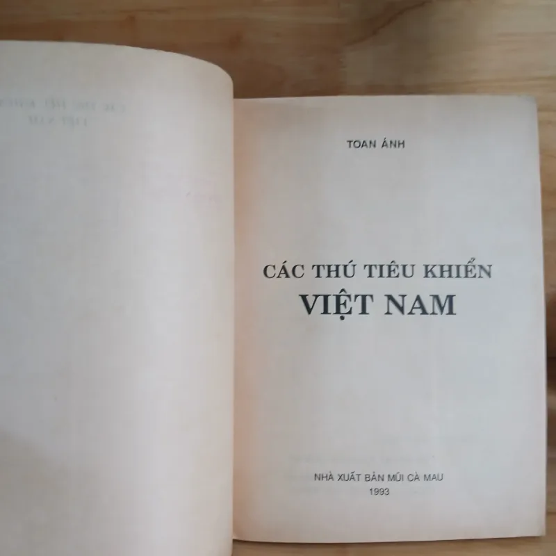 Các Thú Tiêu Khiển Việt Nam - Toan Ánh 1014829