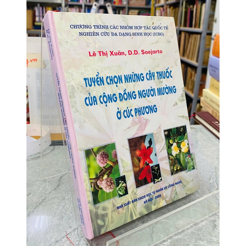 TUYỂN CHỌN NHỮNG CÂY THUỐC CỦA CỘNG ĐỒNG NGƯỜI MƯỜNG Ở CÚC PHƯƠNG - LÊ THỊ XUÂN 540427