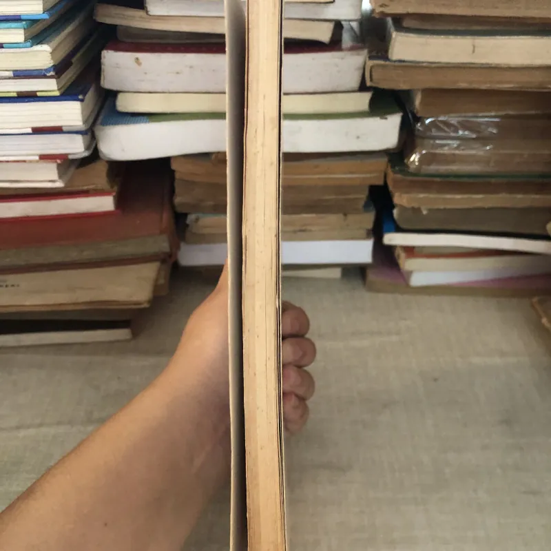 Những bài làm văn chọn lọc 995092