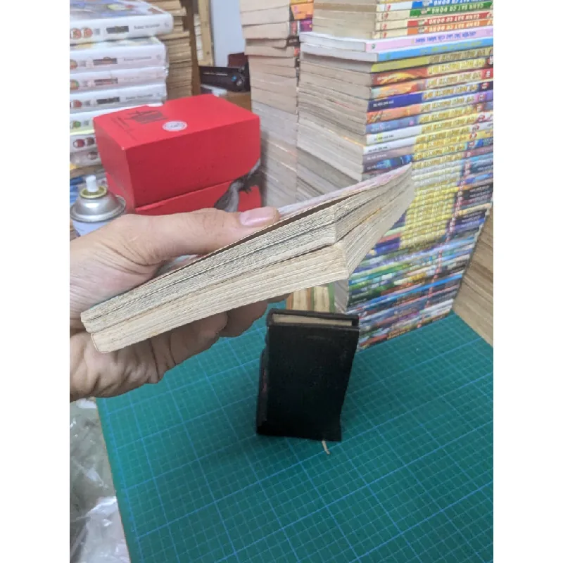 Truyện tranh giày thủy tinh - Selena Lin 577497