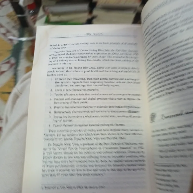 Wandering Through Vietnamese Culture - Hữu Ngọc 1031388